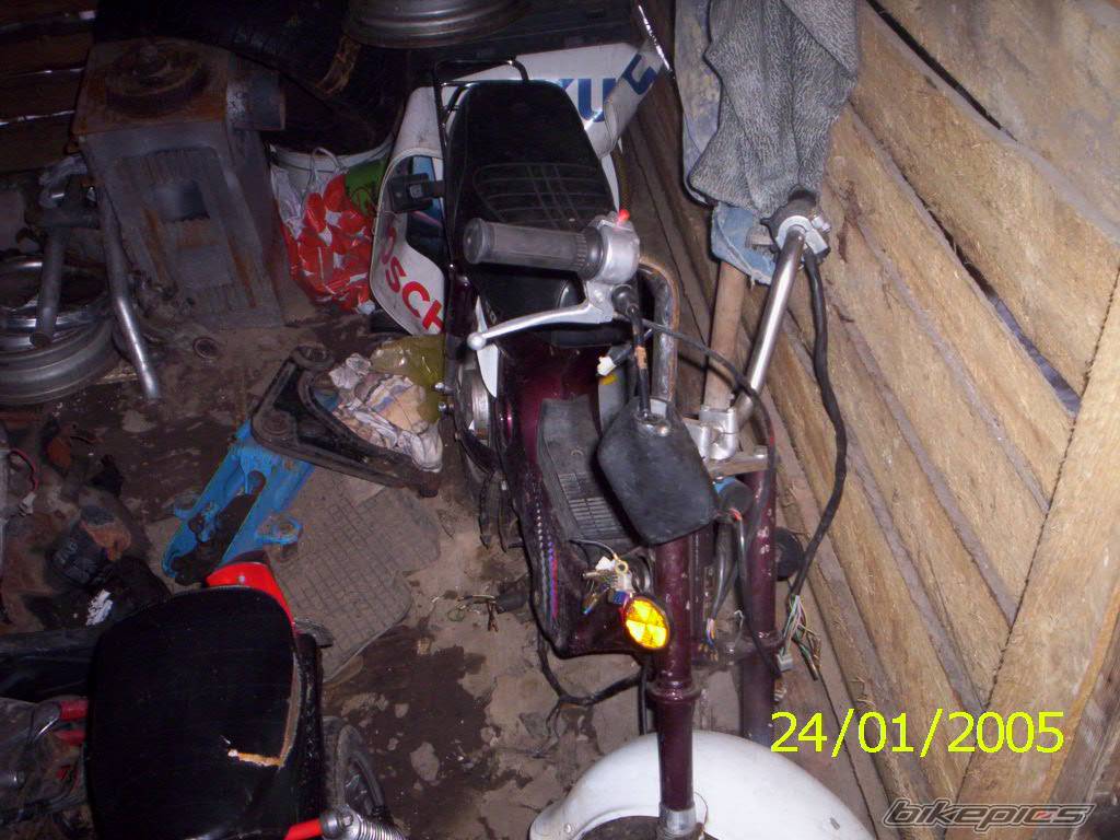 Photo 279573