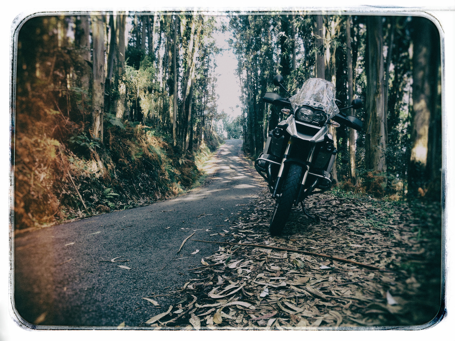 Bike Photo 2795808