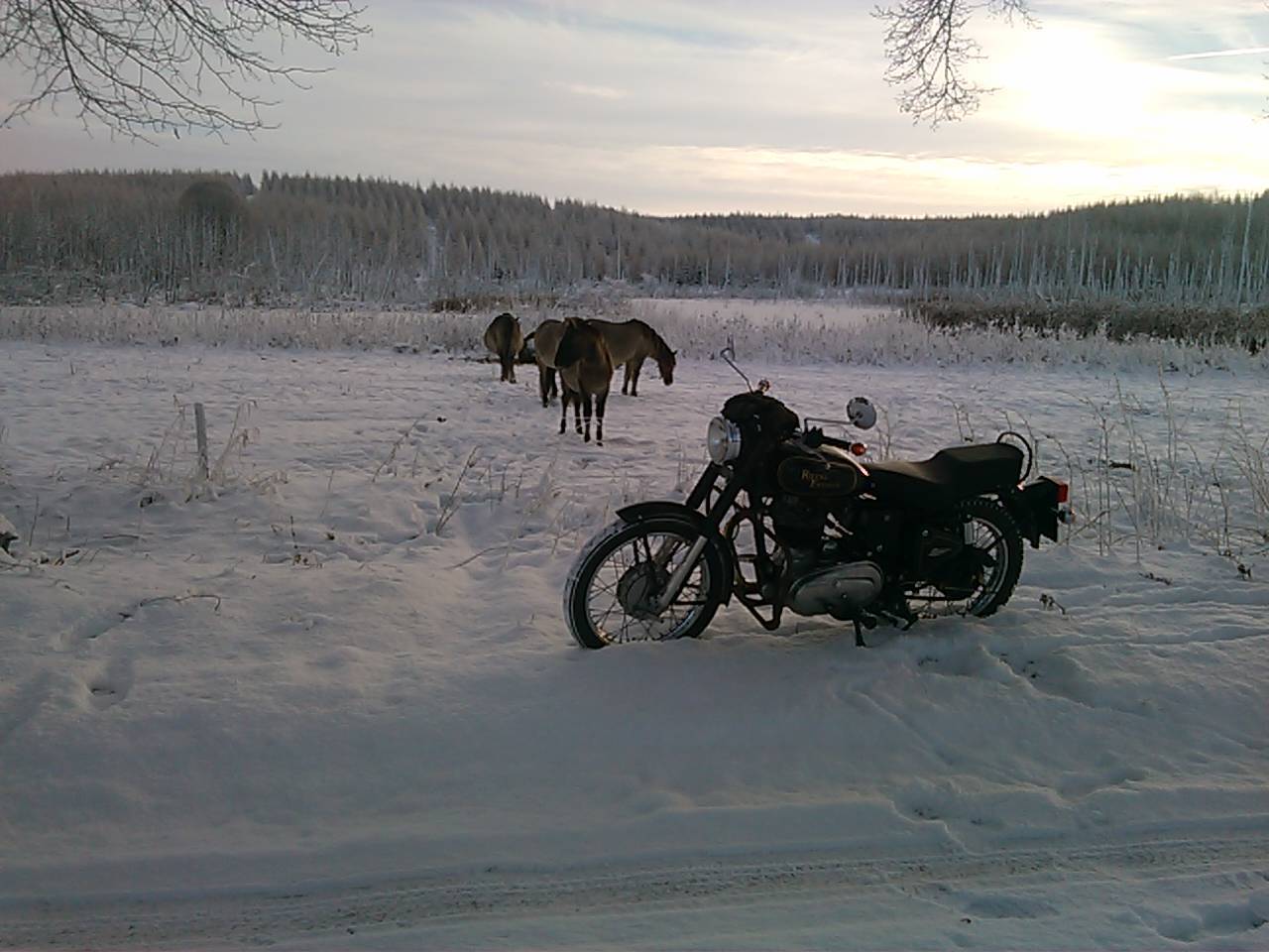 Photo 2795829