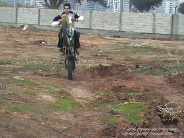 Photo 279585