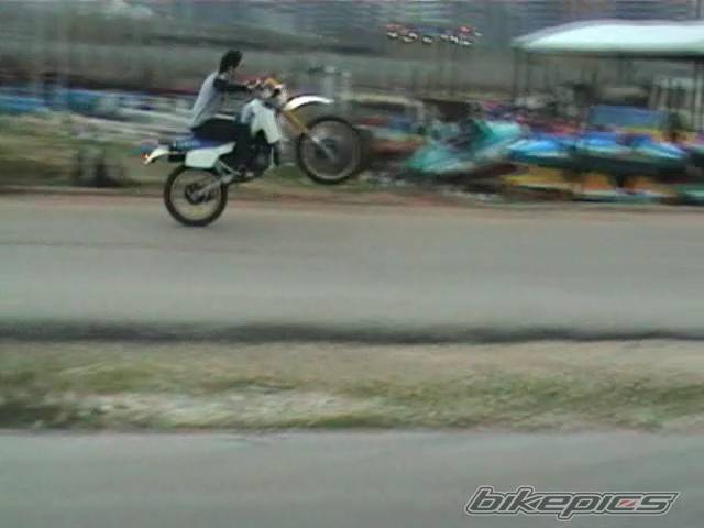 Photo 279591