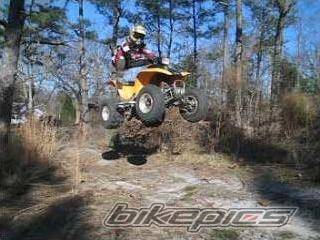 Photo 279592