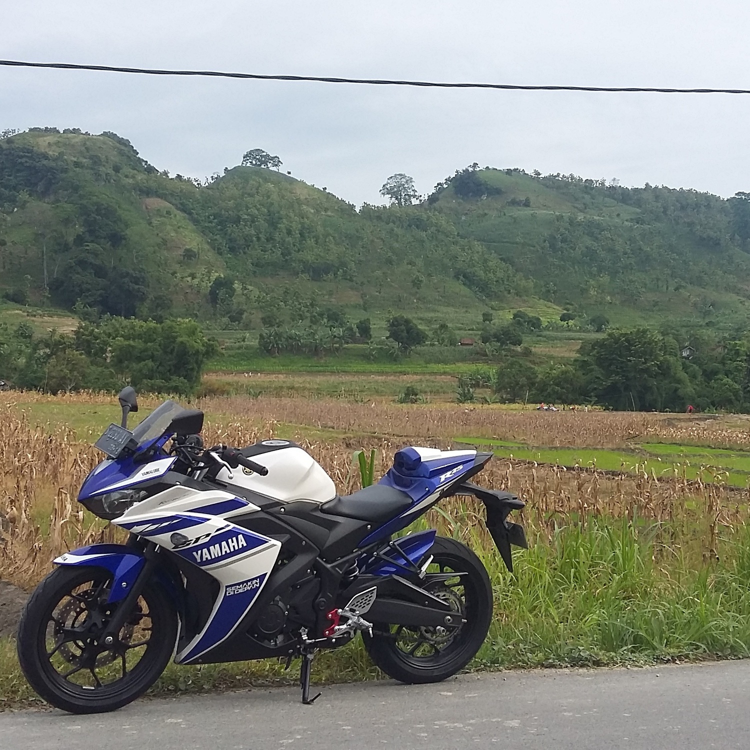 Photo 2796047
