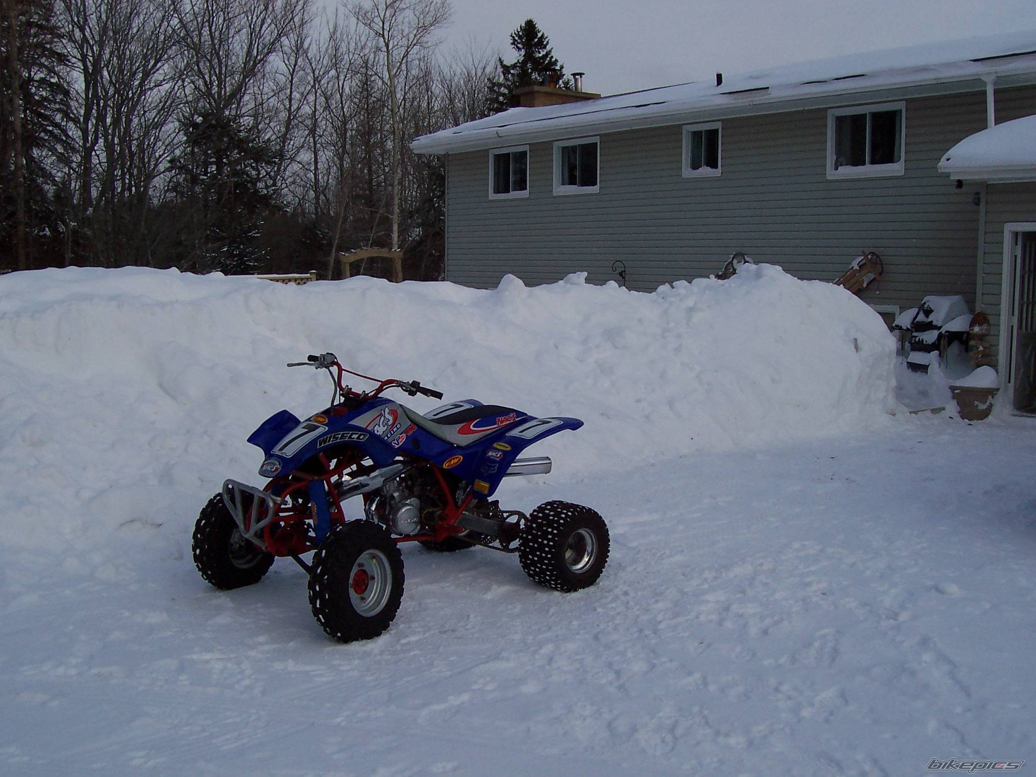 Photo 279606