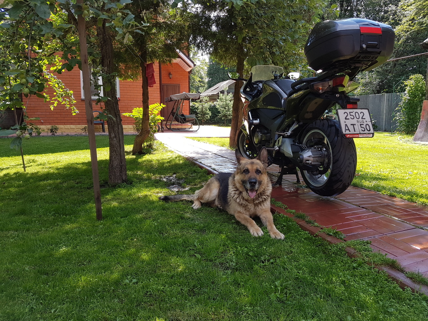 Photo 2796069