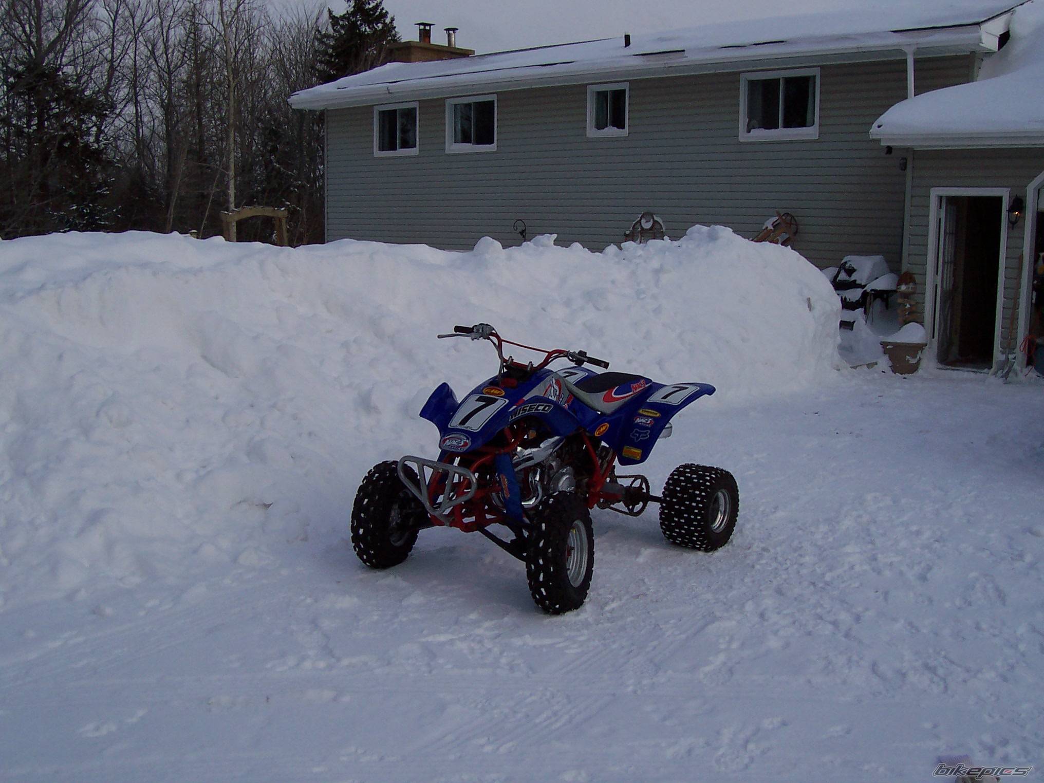 Photo 279608