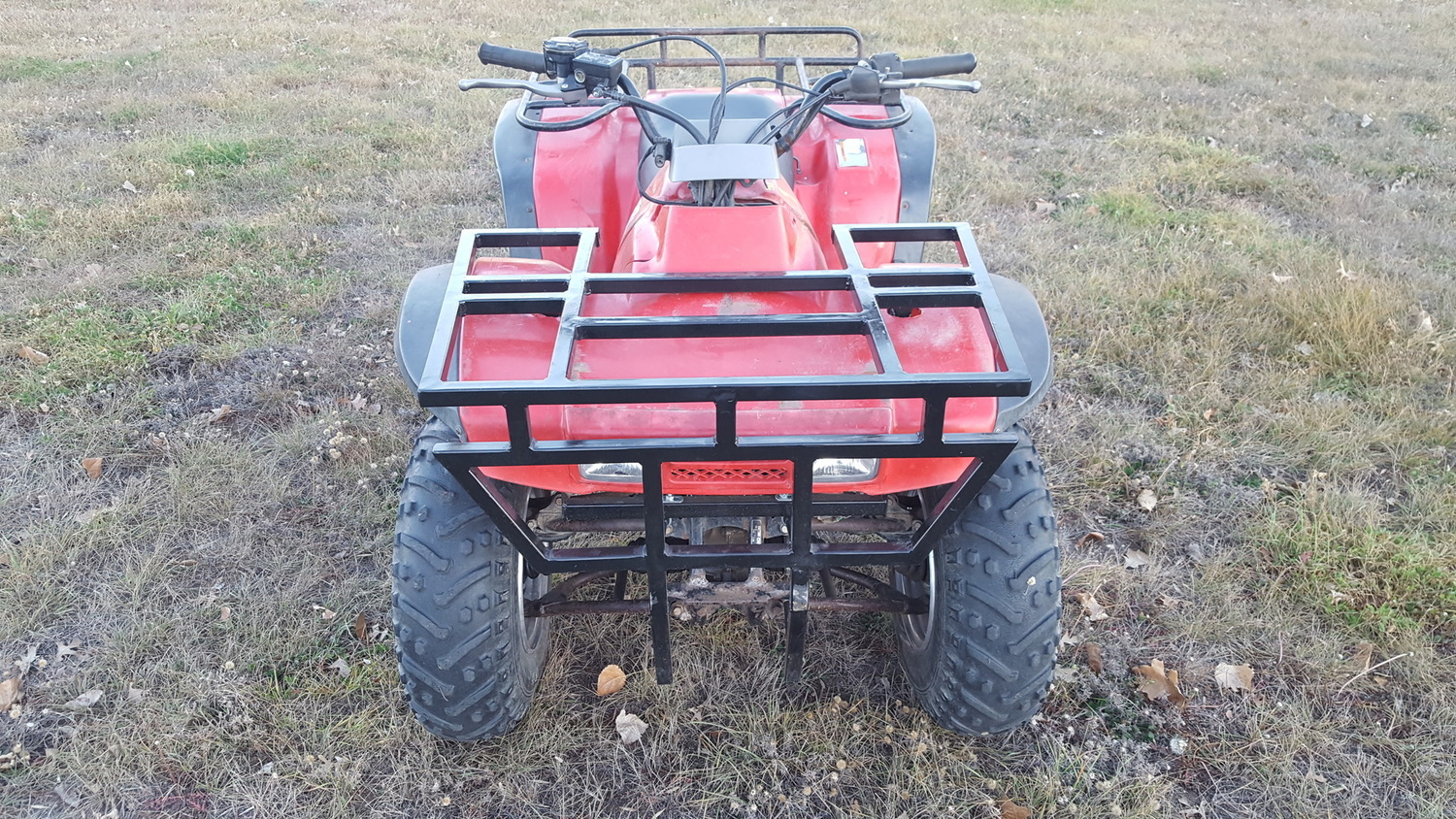TRX 300 (Fourtrax)