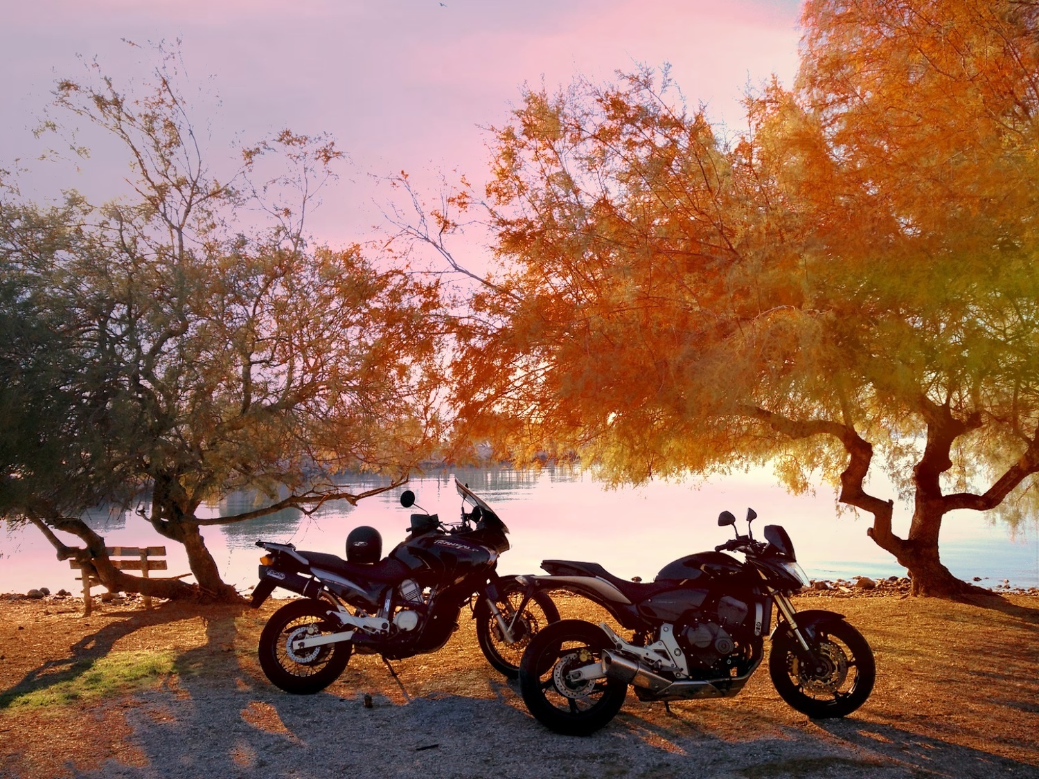 Photo 2796095