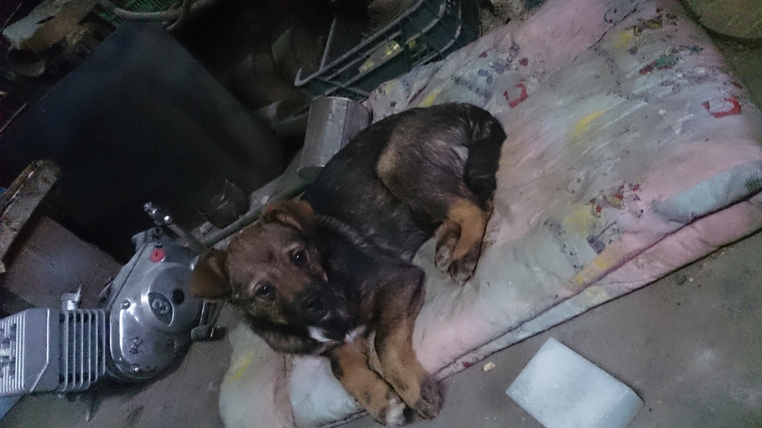 Photo 2796198