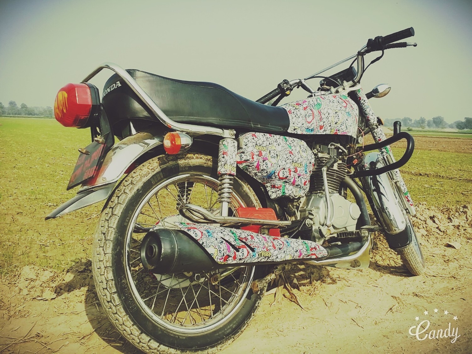 Photo 2796247