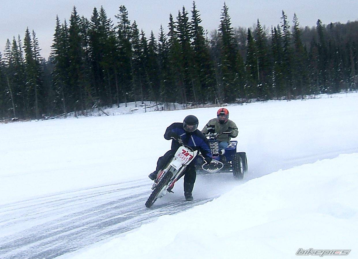 Photo 279632