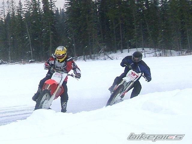 Photo 279633