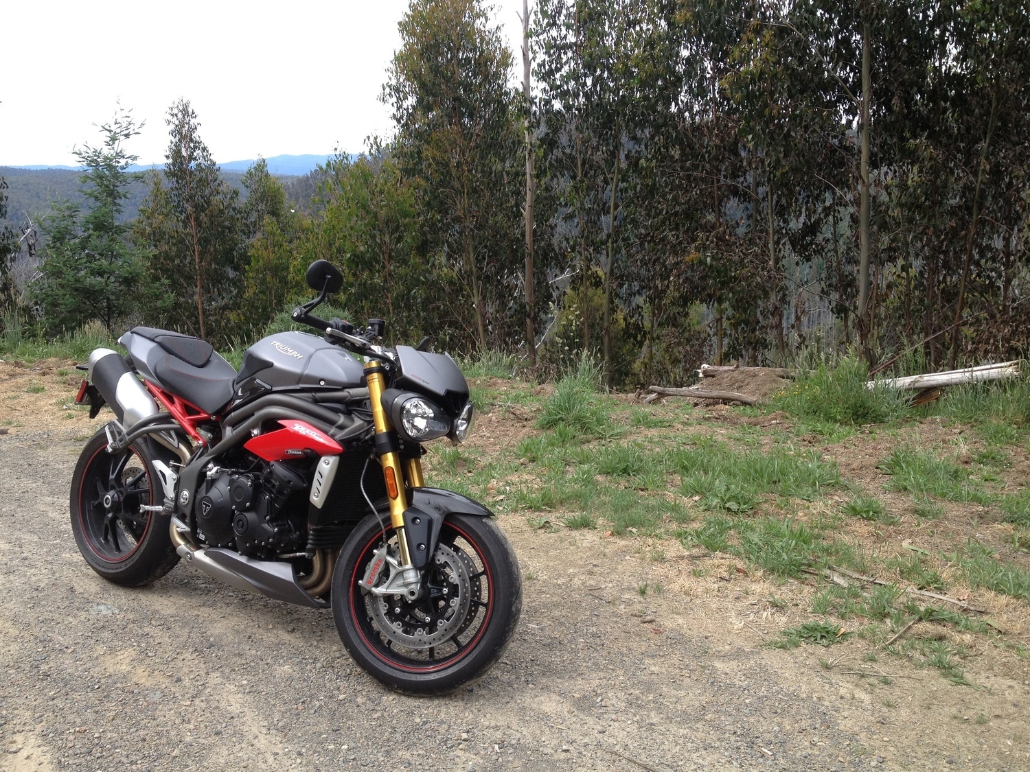 Photo 2796353