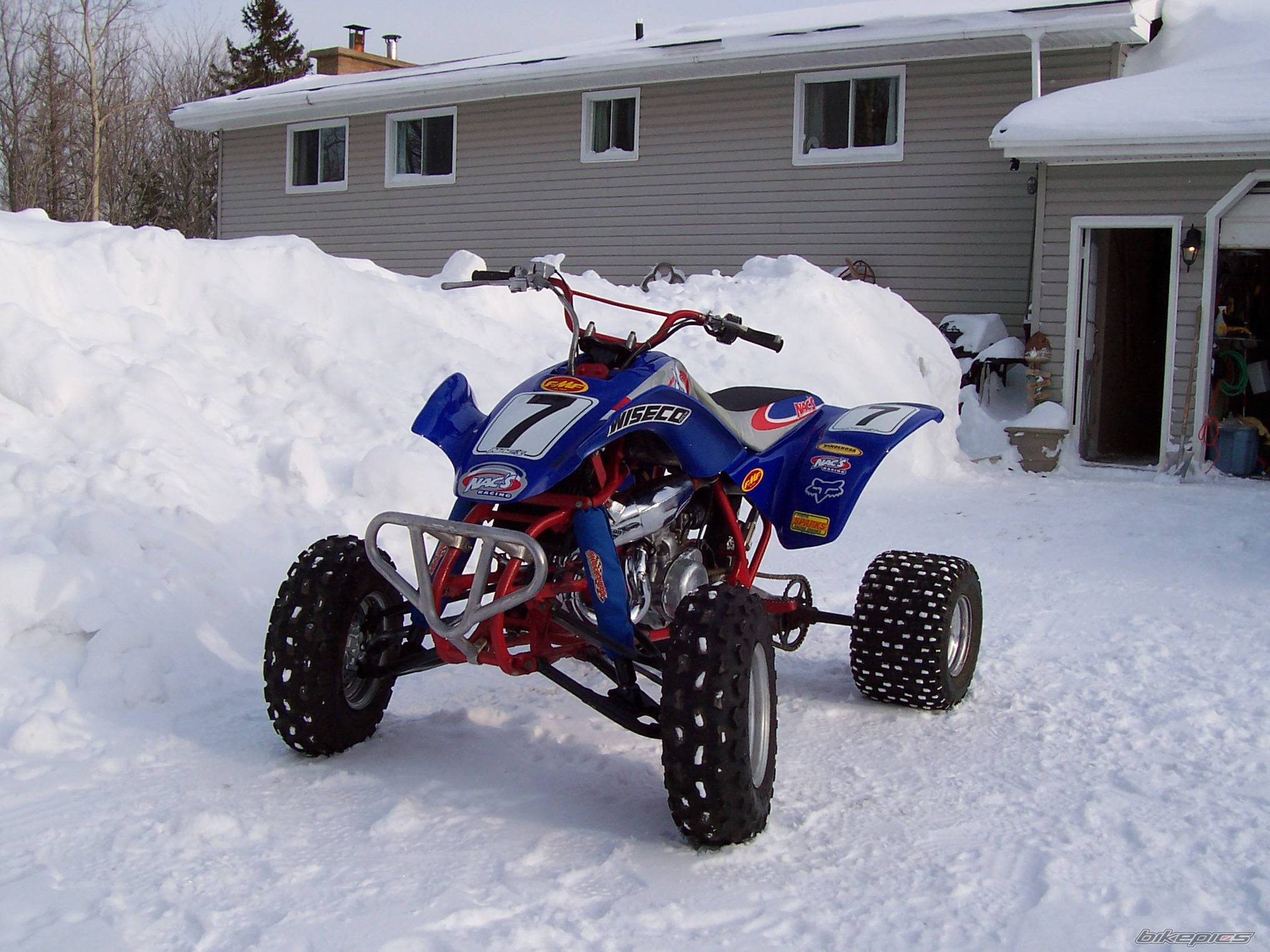 Photo 279637
