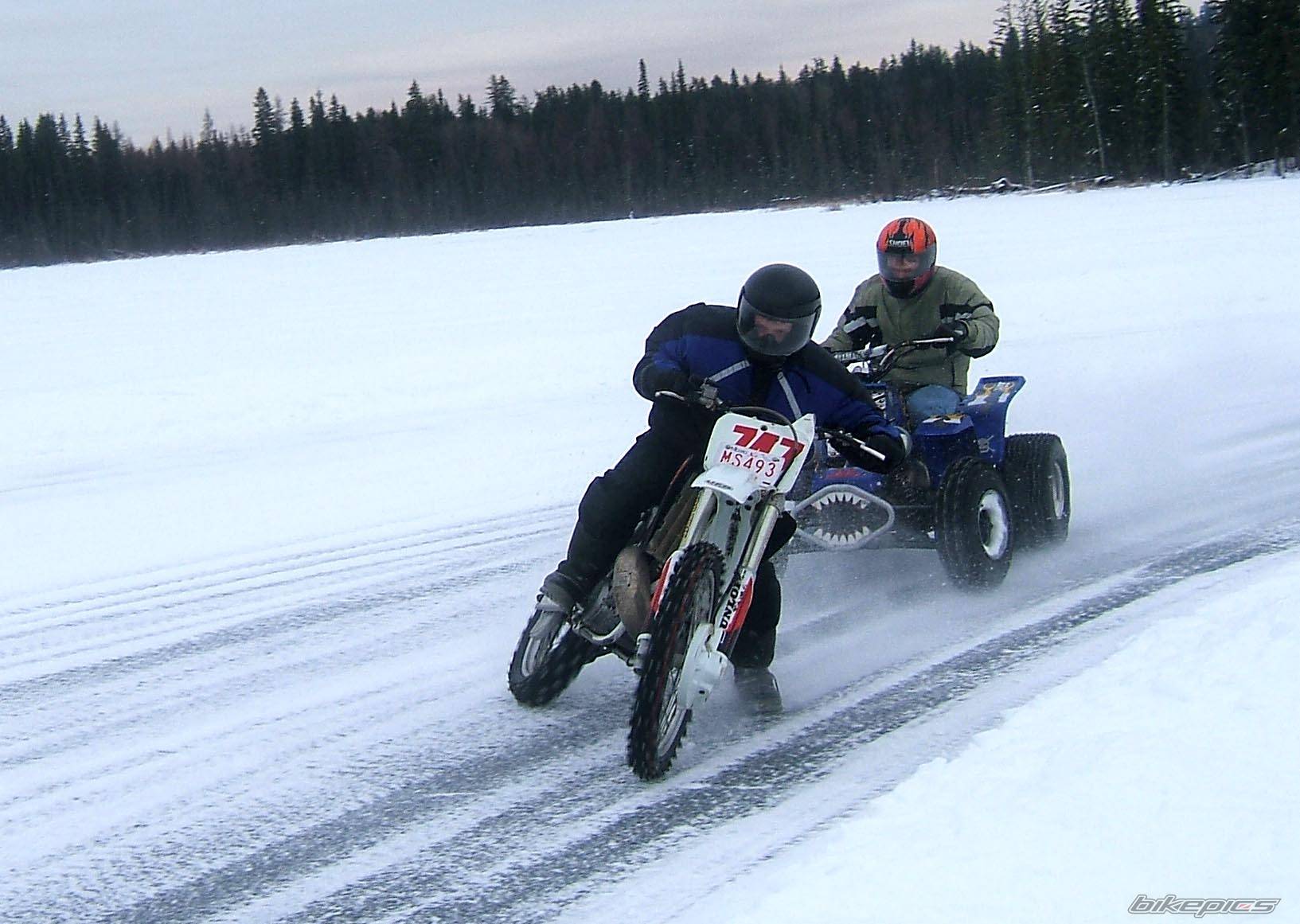 Photo 279638