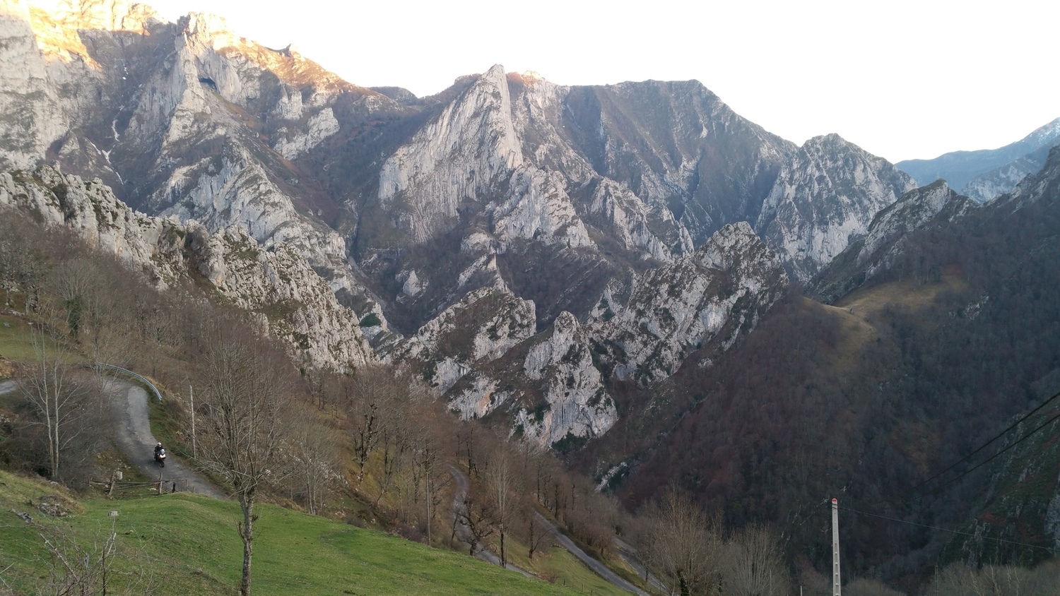 Photo 2796394
