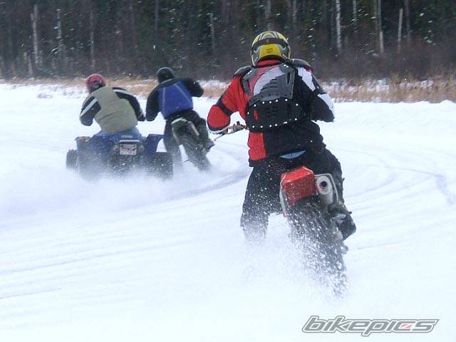 Photo 279640