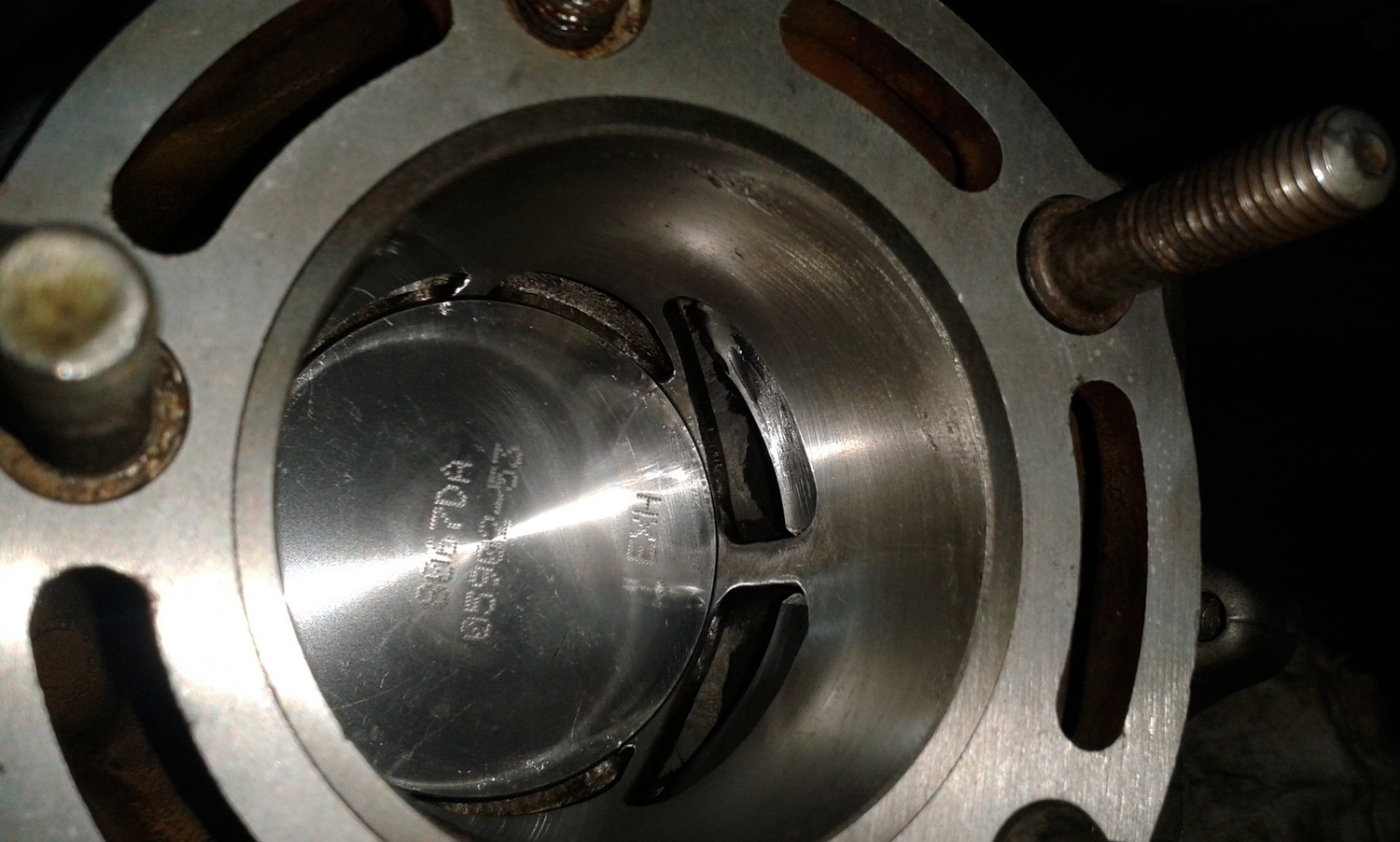 Photo 2796461