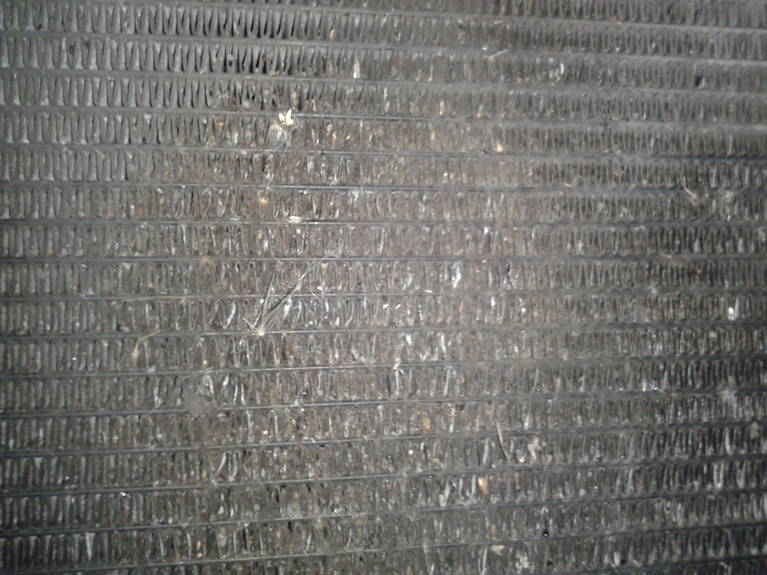 Photo 2796487