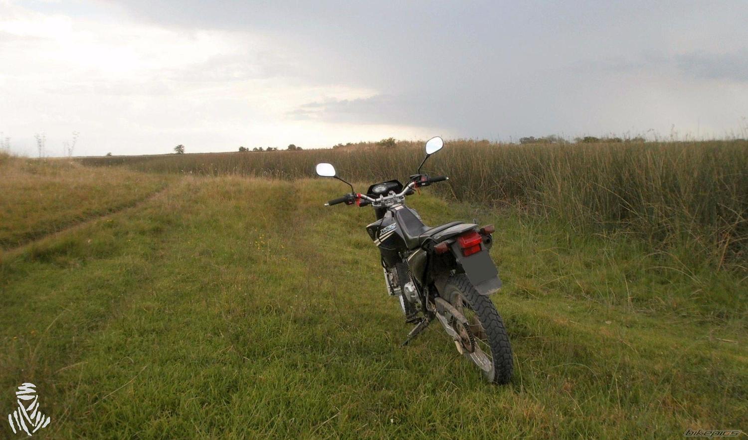 Photo 2796753