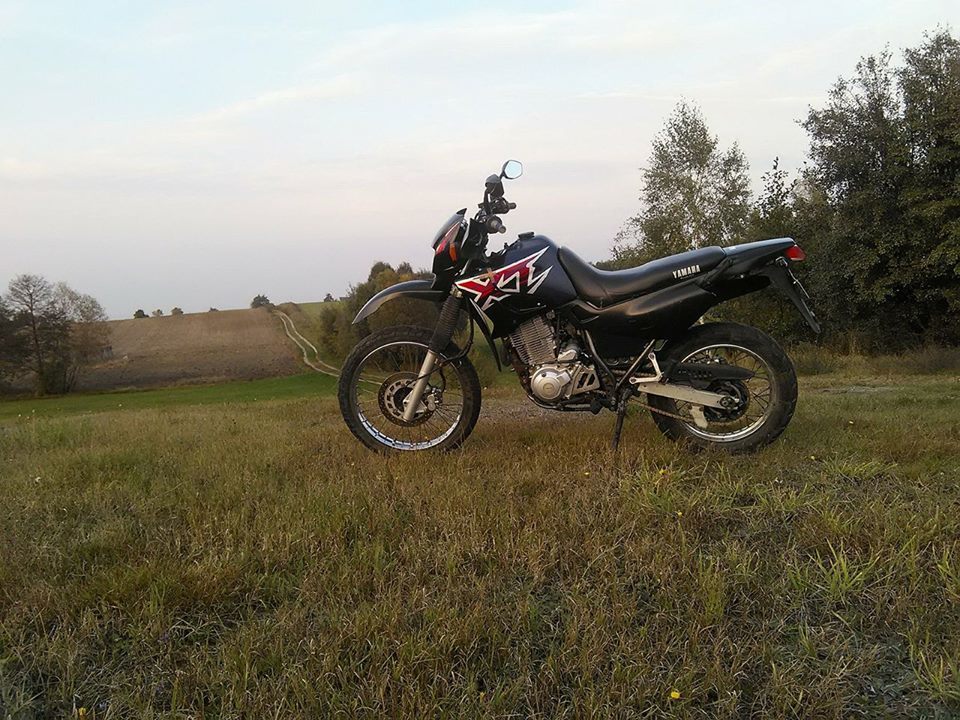 Photo 2796894