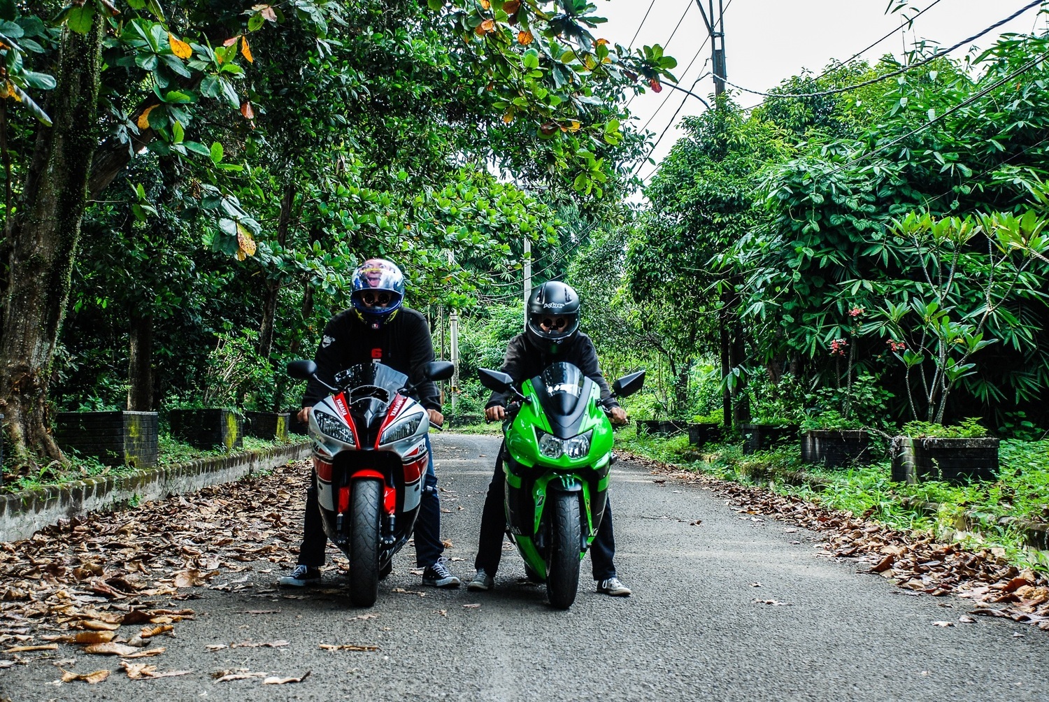 Bike Photo 2796909