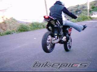 Photo 279691