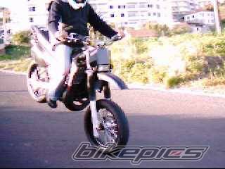 Photo 279692