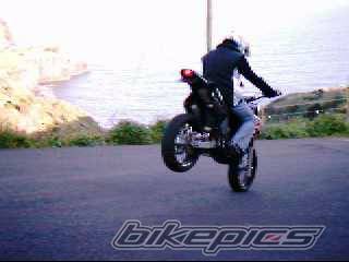 Photo 279695