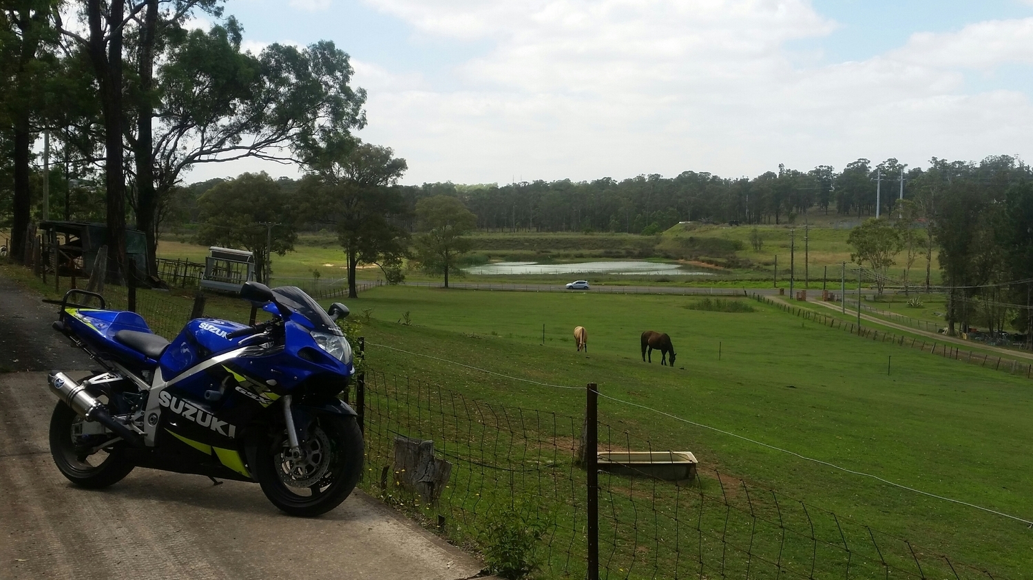 Photo 2797048