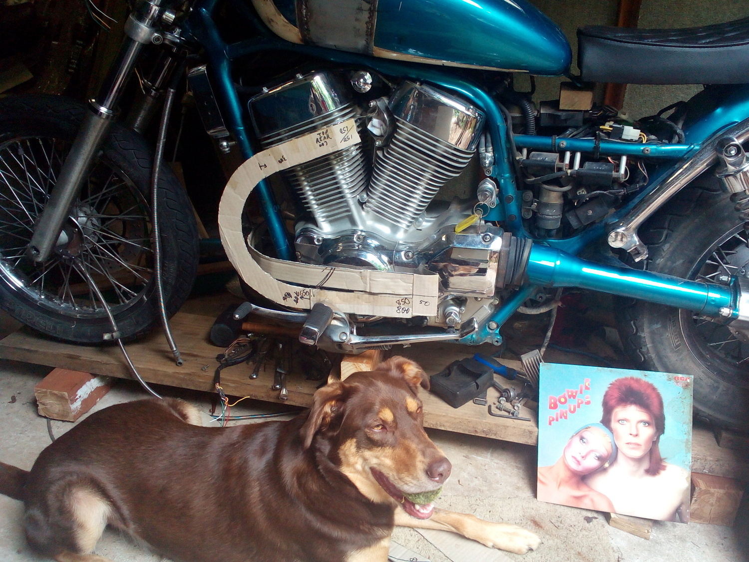 Photo 2797173
