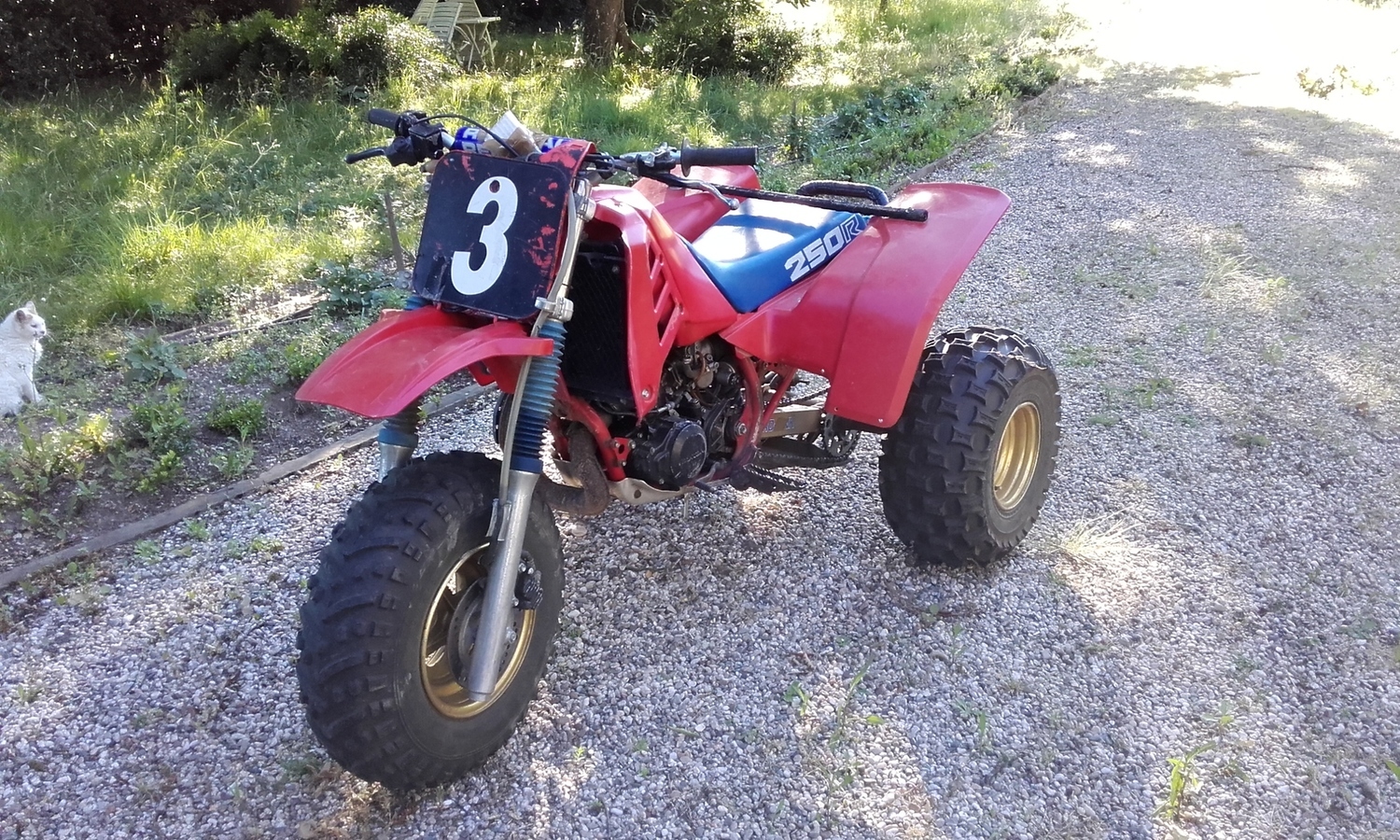 Photo 2797181