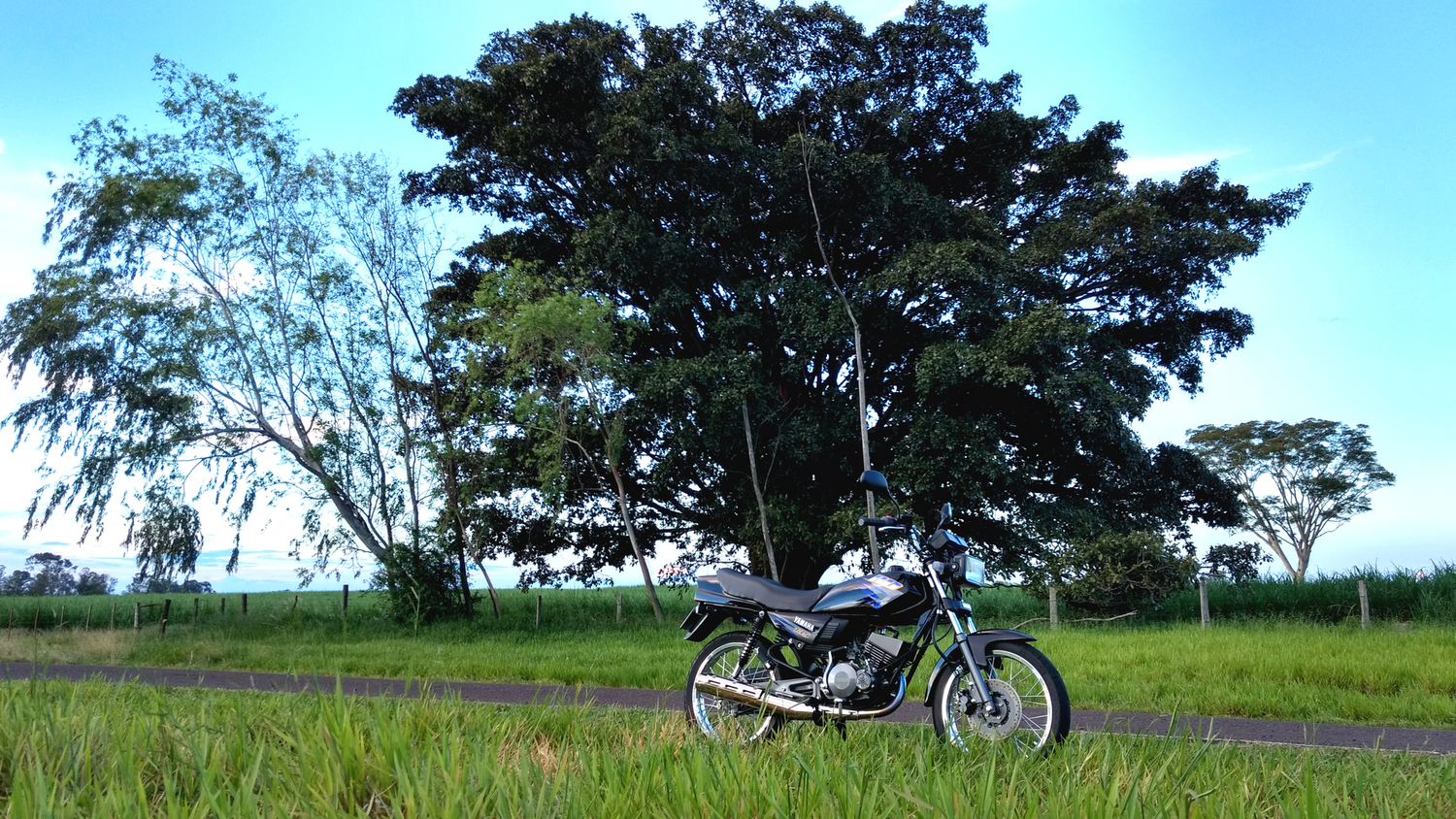 Photo 2797185