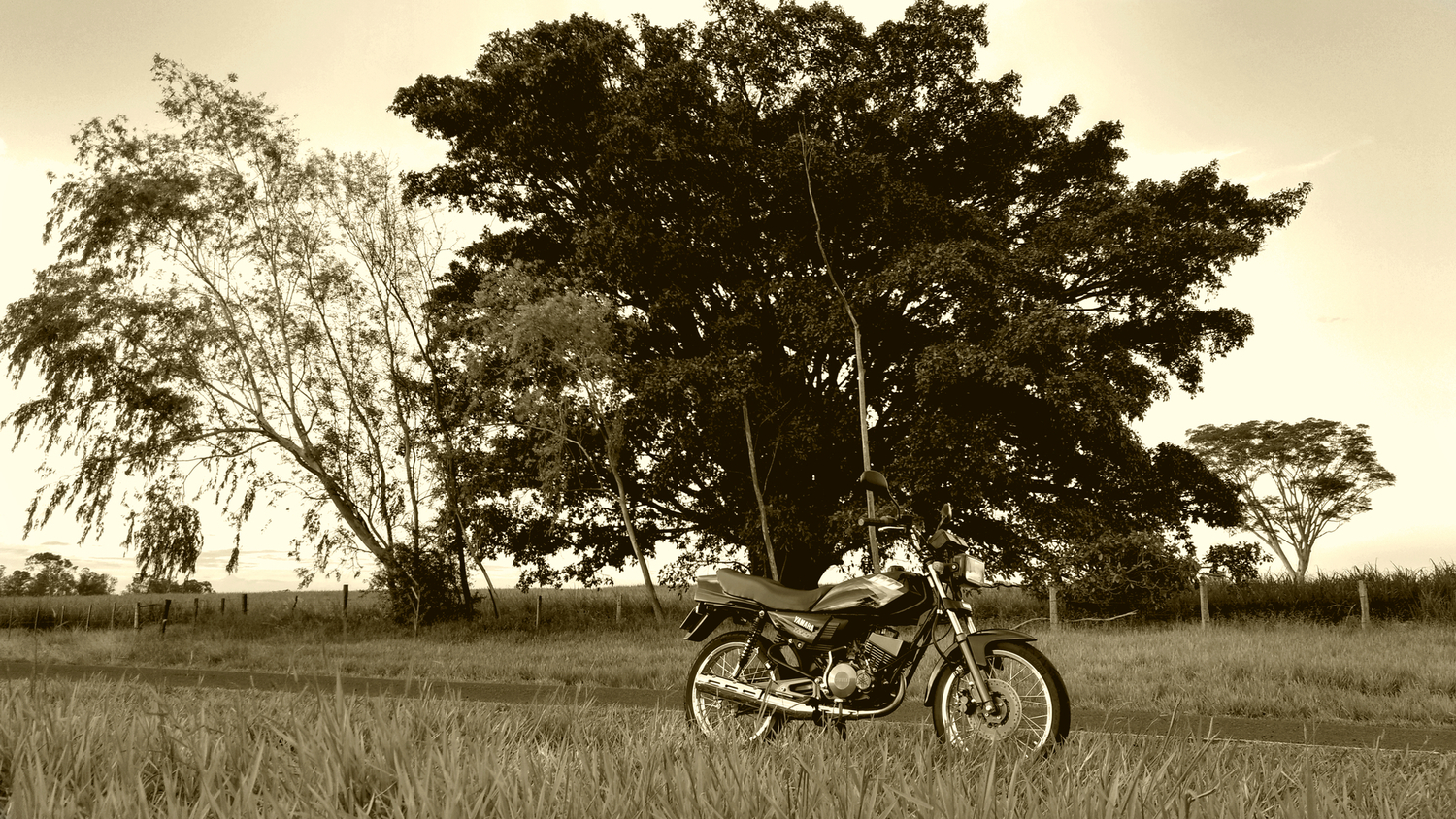 Photo 2797187