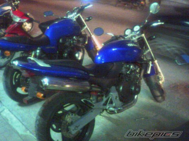 Photo 279722