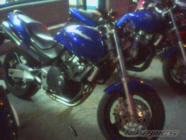 Photo 279723
