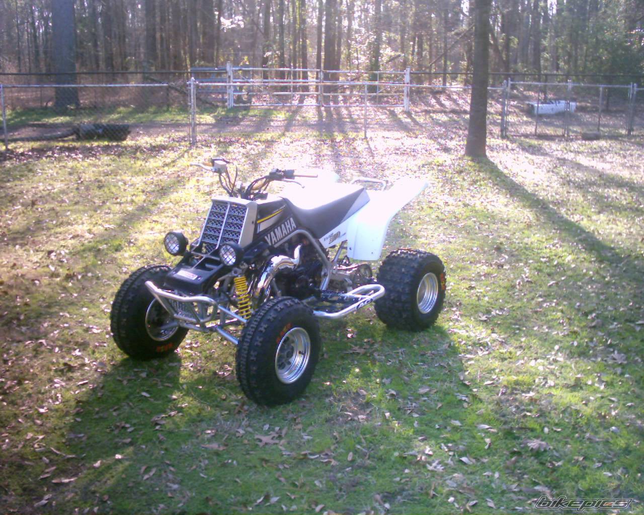 Photo 279736