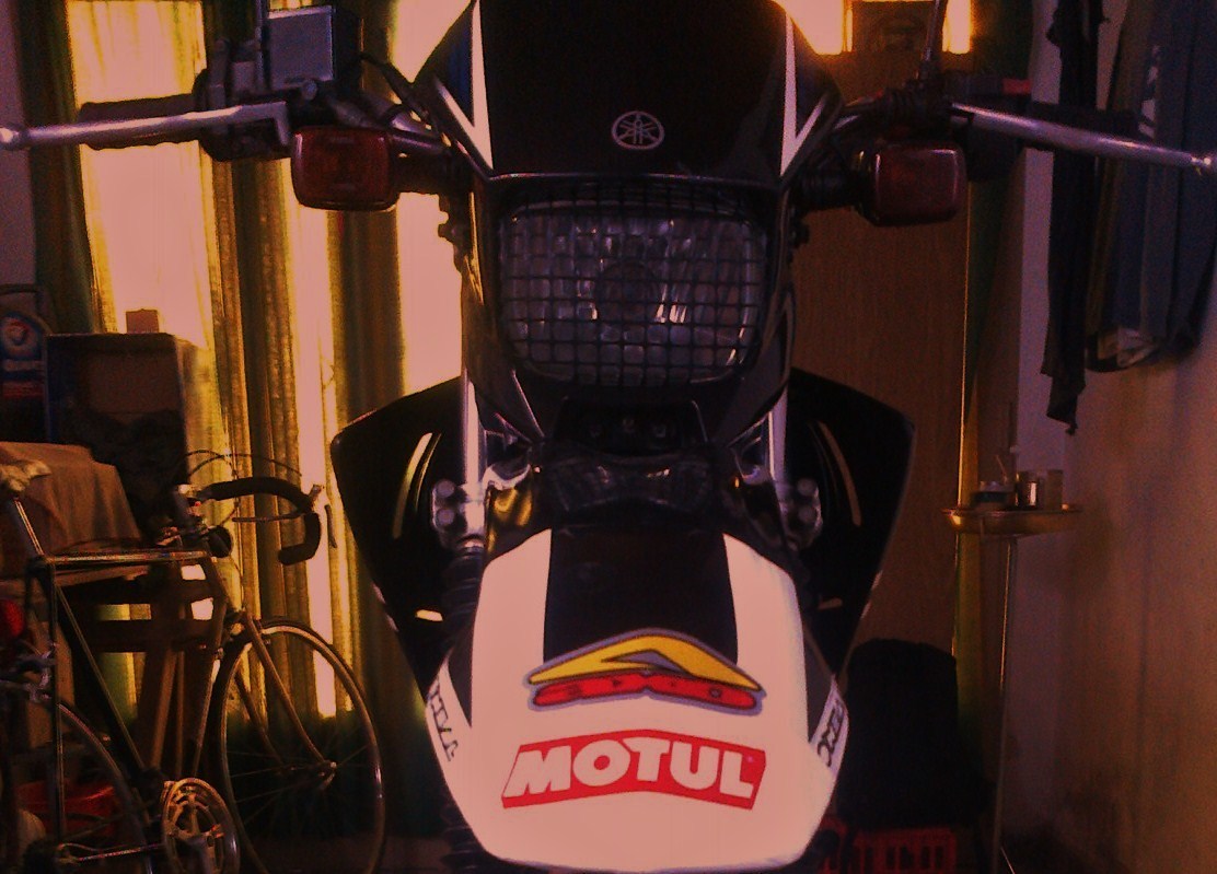 Photo 2797509