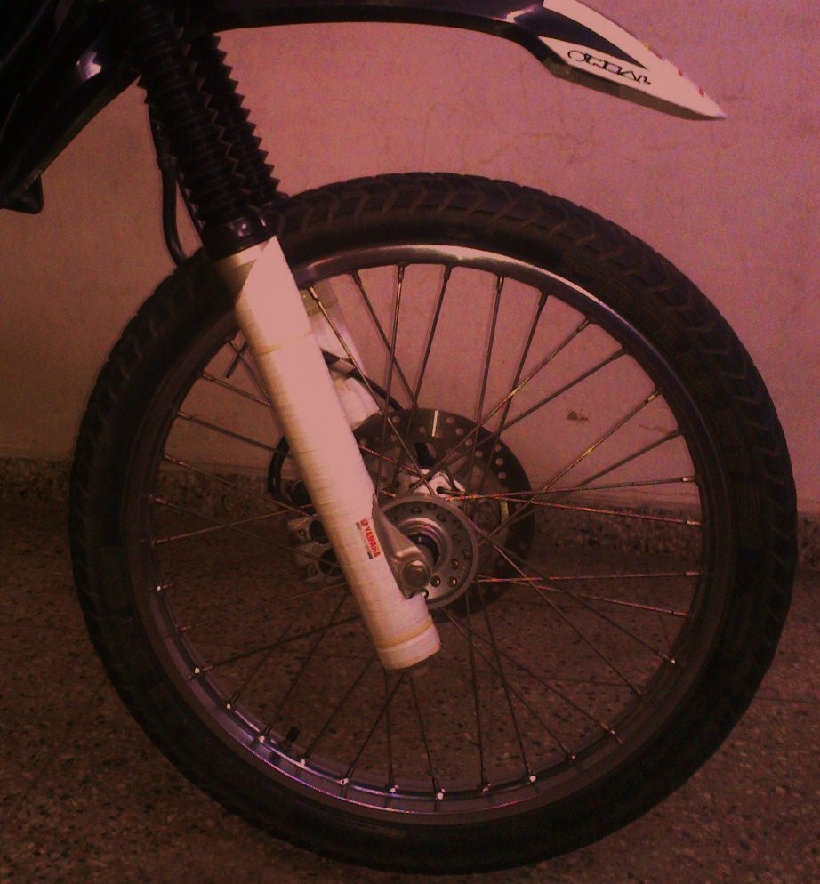 Photo 2797512