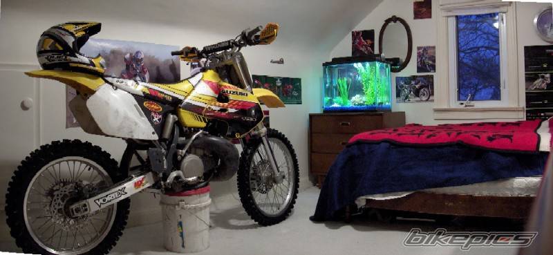 Photo 279753