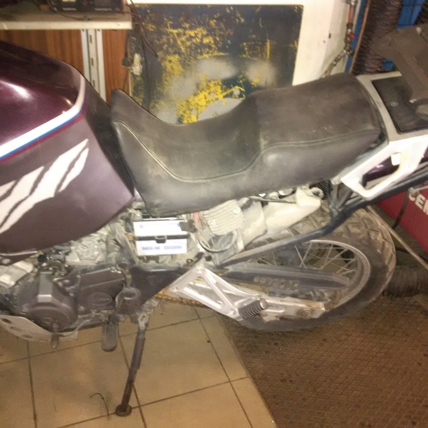 Photo 2797584