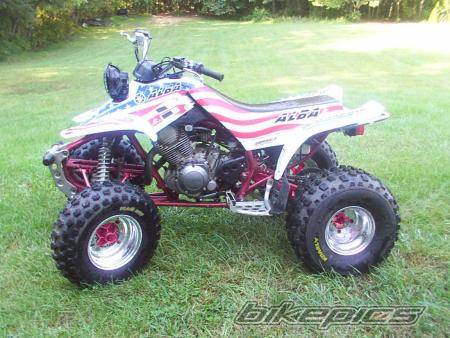 Photo 279764