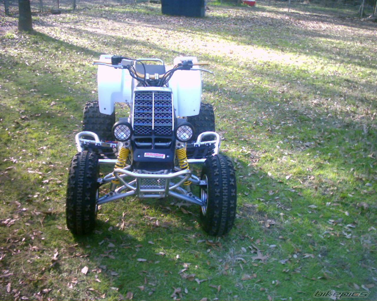 Photo 279765