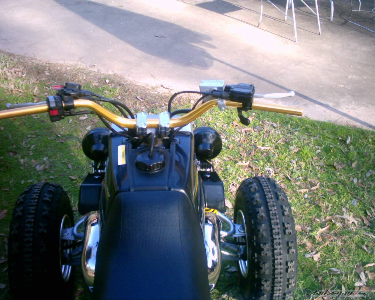 Photo 279766