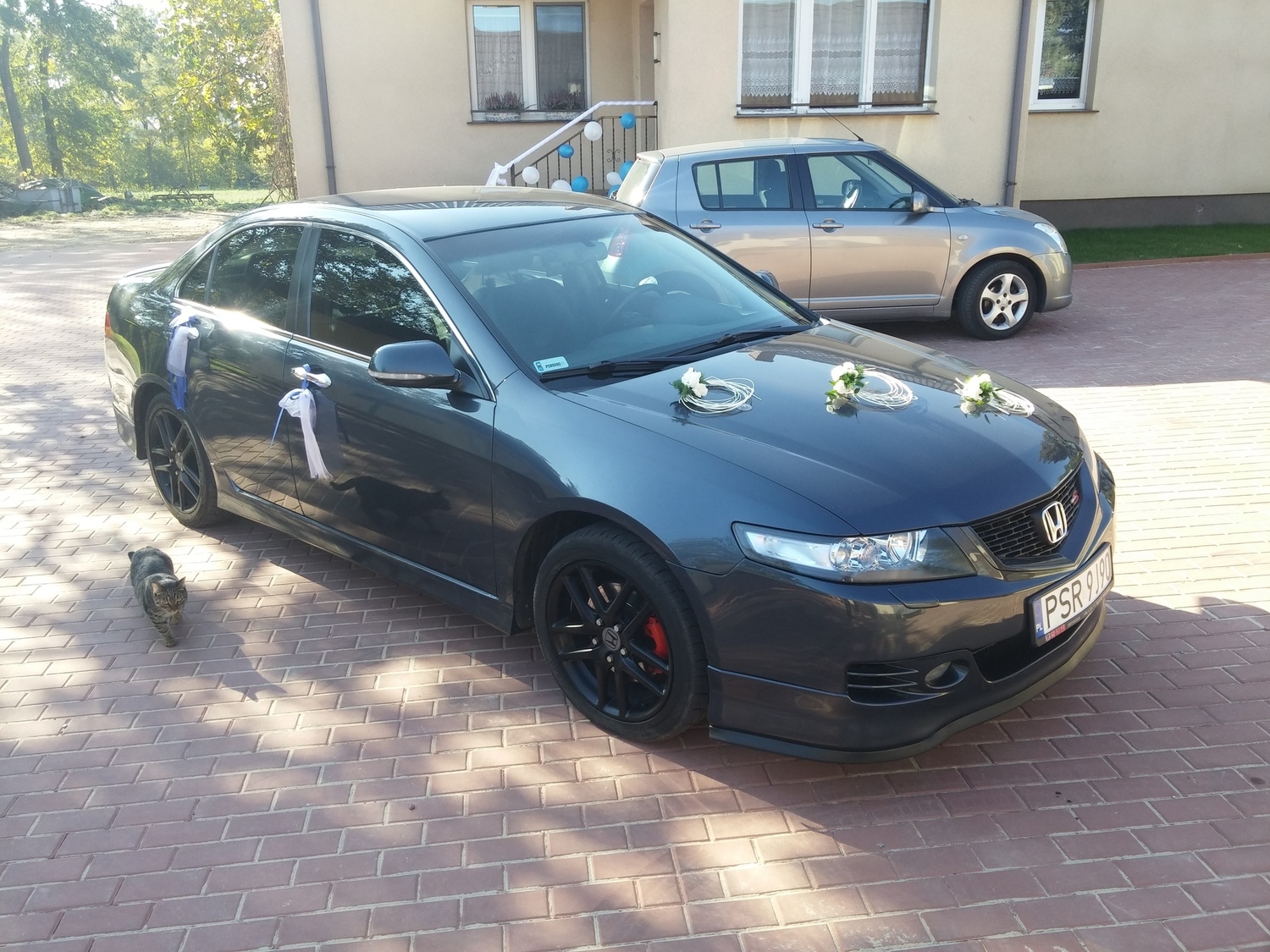 Photo 2797669