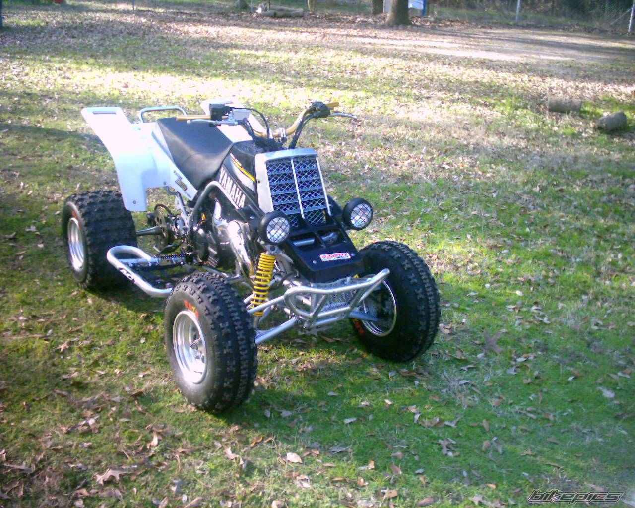 Photo 279767