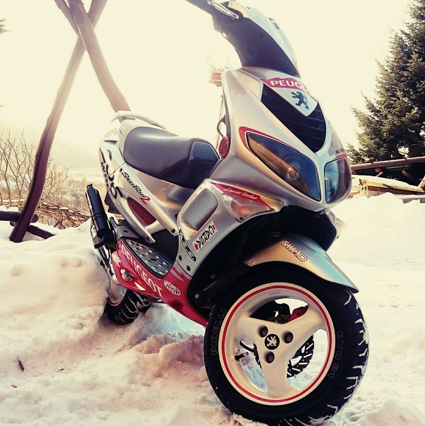 Photo 2797673