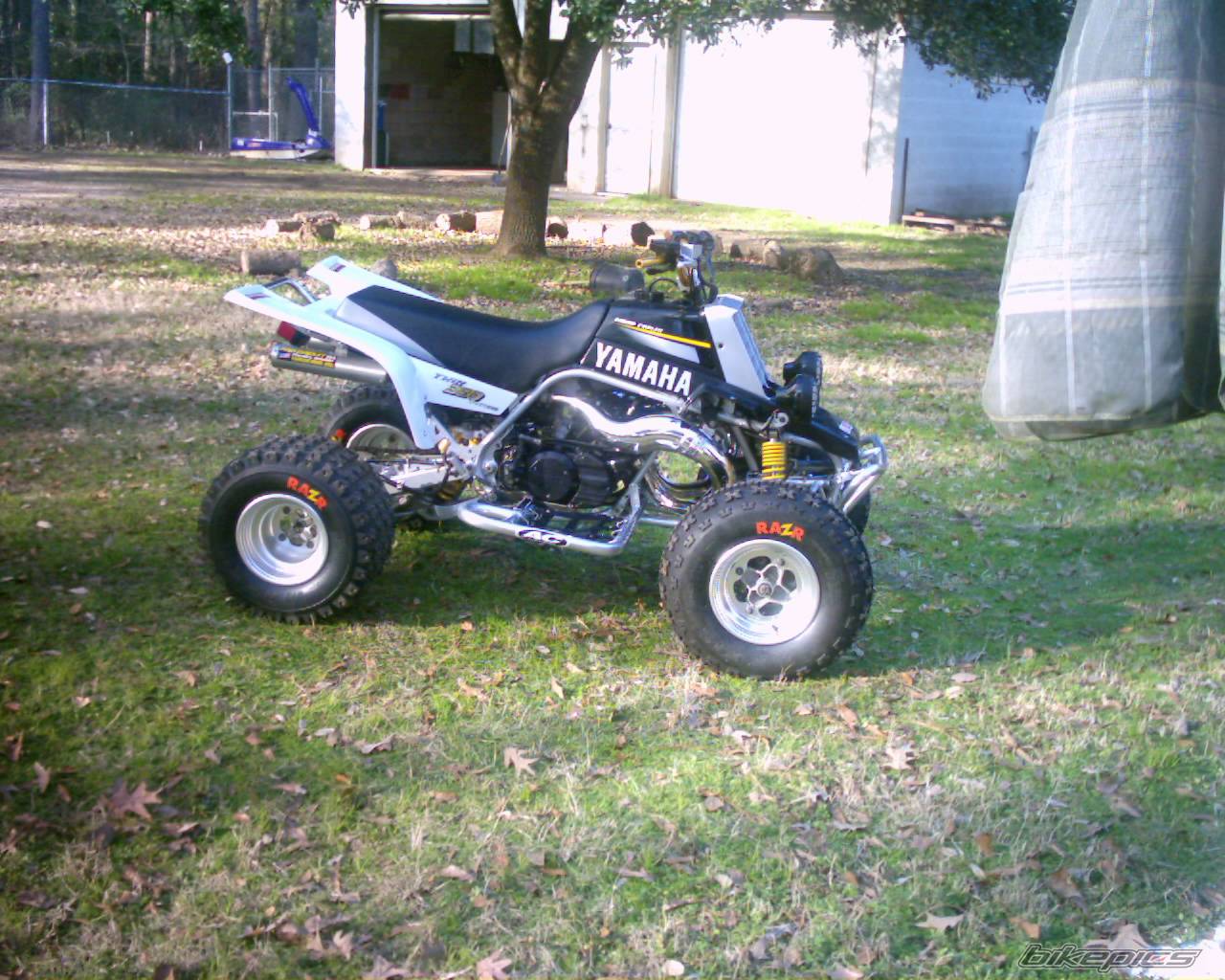 Photo 279768