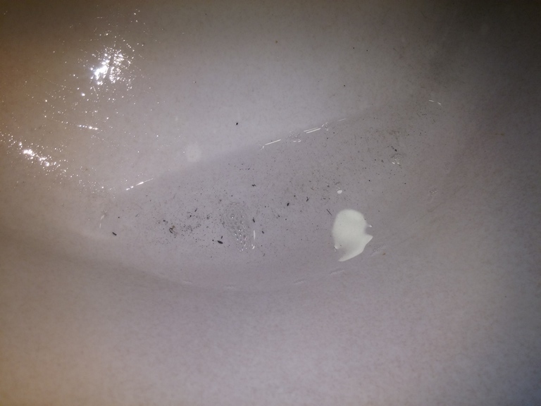 Photo 2797709