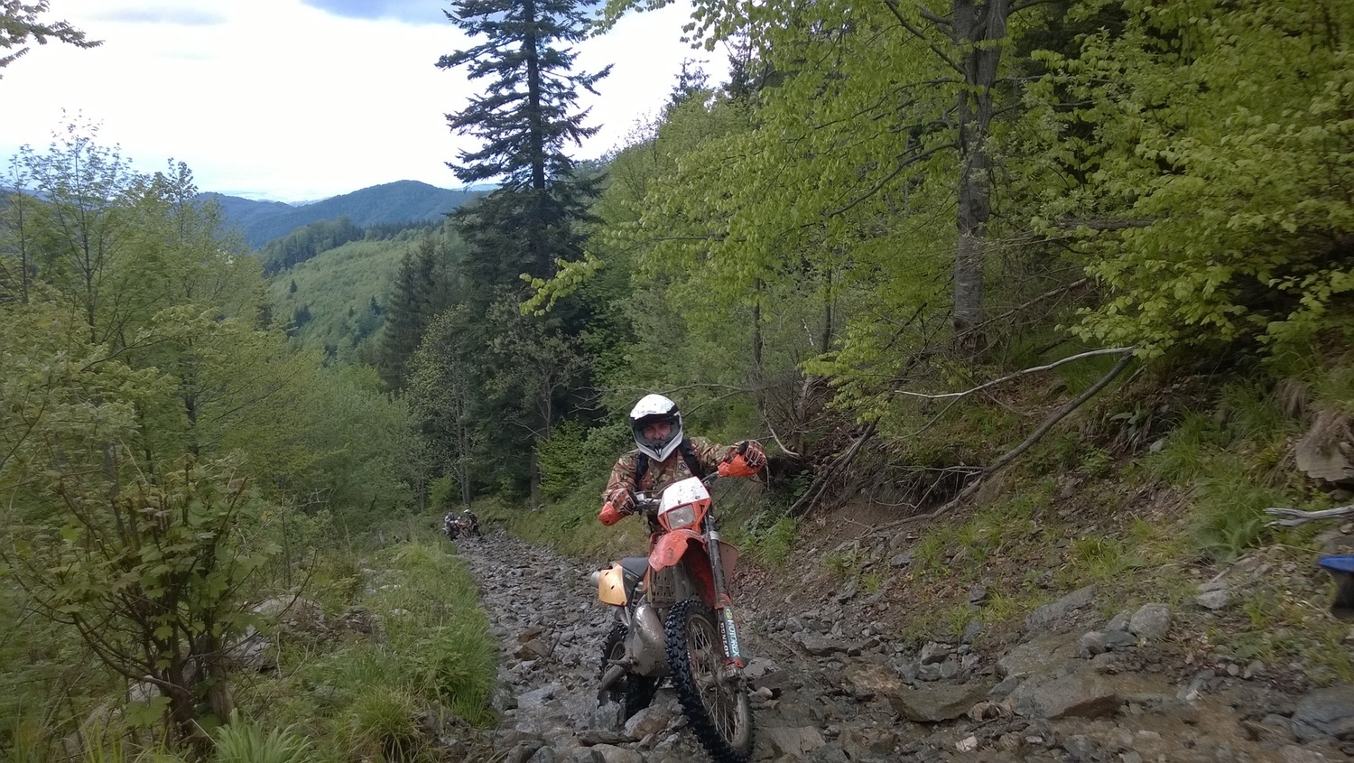 Photo 2797883